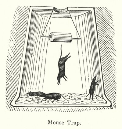 Piège à souris (gravure) - English School