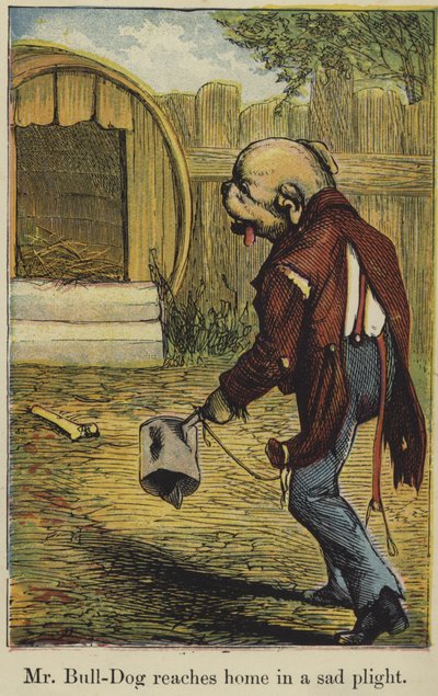M. Bull-Dog rentre chez lui dans un triste état - English School