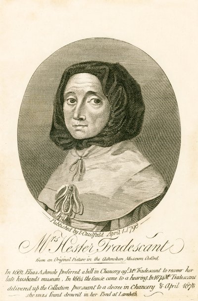 Mme Hester Tradescant - English School