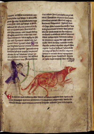 Ms 254, f.19r : Chasseur visant deux castors, d