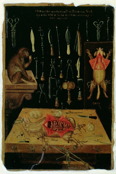Ms Hunter 364 Table I Instruments de dissection, de Anatomical Tables, par John Banister - English School