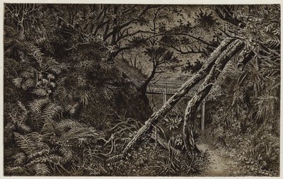 Bois de Mulgrave, près de Whitby - English School