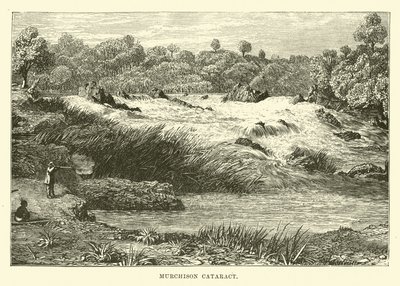 Cataracte de Murchison - English School