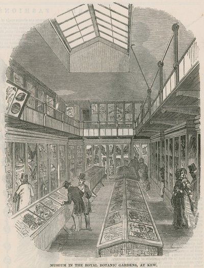 Musée dans les jardins botaniques royaux, à Kew - English School