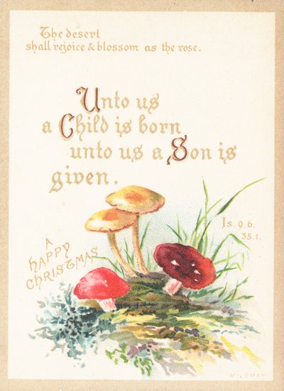 Champignons, Carte de Noël - English School