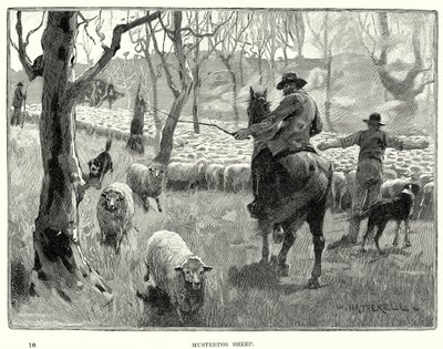 Moutons de rassemblement (gravure) - English School