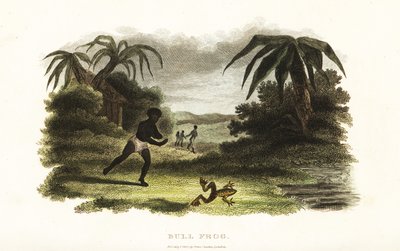 Amérindien perdant une course avec une grenouille-taureau jusqu