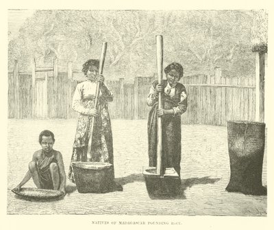 Natifs de Madagascar pilant du riz - English School