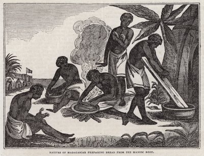 Natifs de Madagascar préparant du pain à partir de racine de manioc - English School
