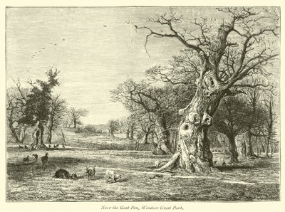 Près de l