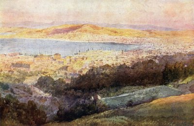 Nouvelle-Zélande : Wellington (lithographie couleur) - English School