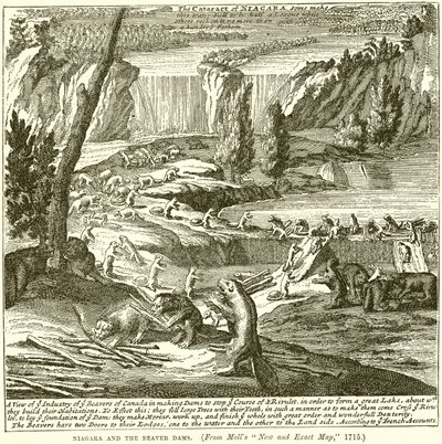 Niagara et les barrages de castors - English School