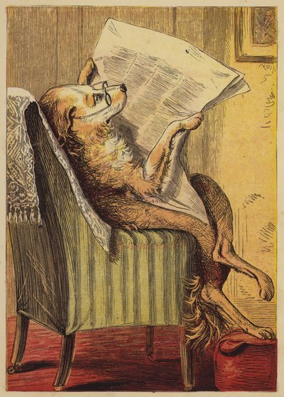Vieille Mère Hubbard - English School
