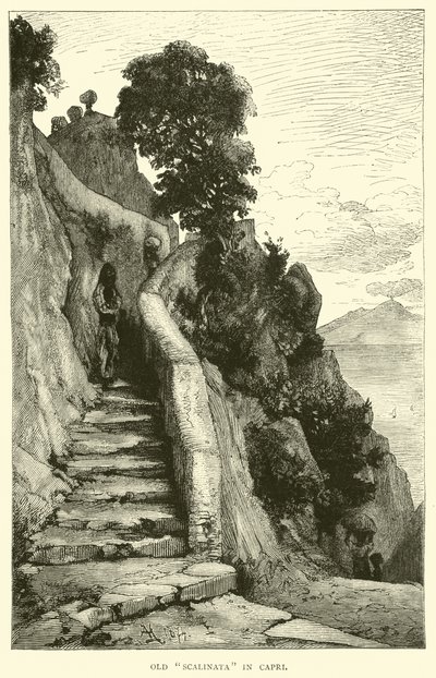 Vieille Scalinata à Capri - English School