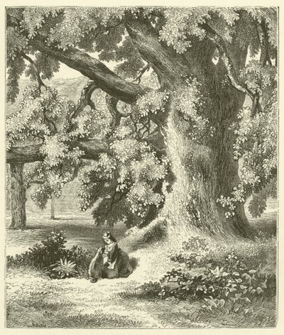 Vieux noyer à Mentmore (gravure) - English School
