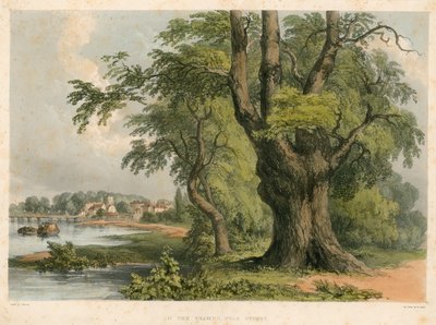 Sur la Tamise, près de Putney, Londres - English School