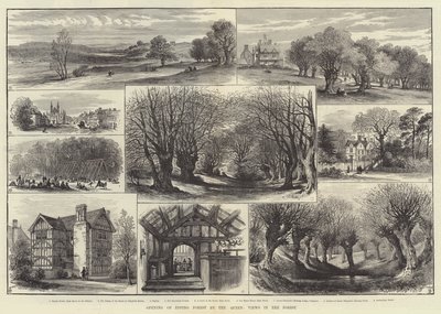 Ouverture de la forêt d