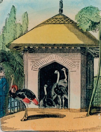Maison des autruches et émeus au zoo de Londres. Années 1840 - English School