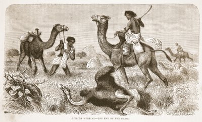 Chasse à l