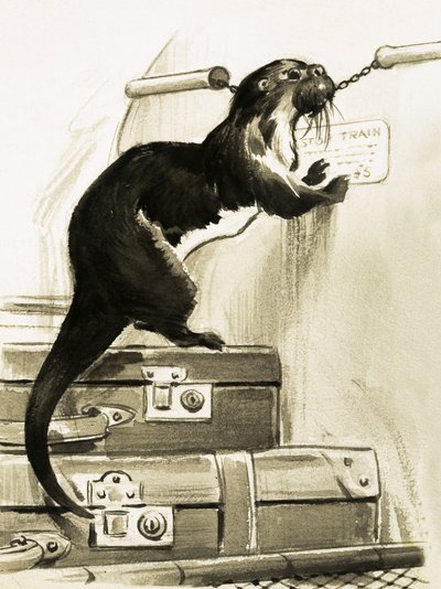 Loutre arrêtant le train - English School