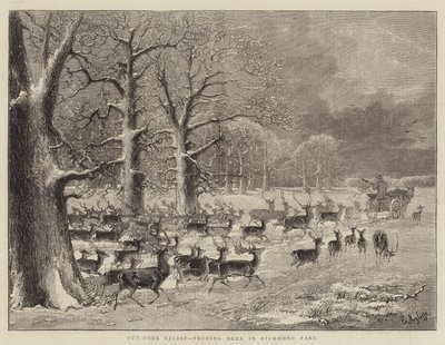 Secours en plein air, nourrir les cerfs dans le parc de Richmond (gravure) - English School