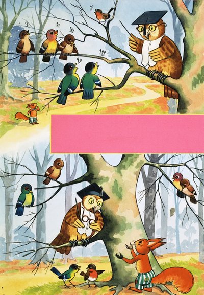 Hibou enseignant à d