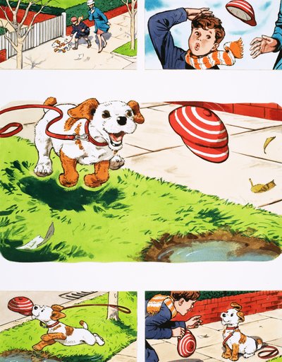 Paddy Paws - English School