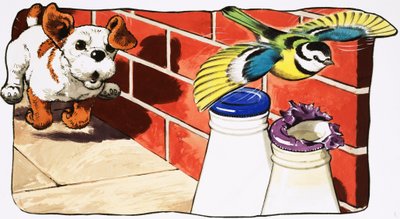 Paddy Paws - English School