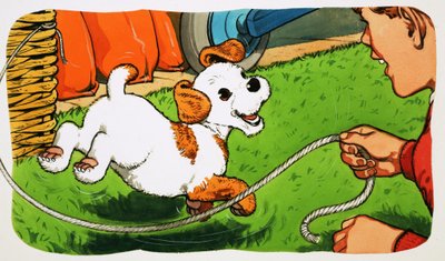 Paddy Paws - English School