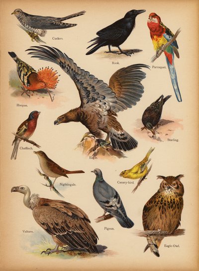 Page de L
