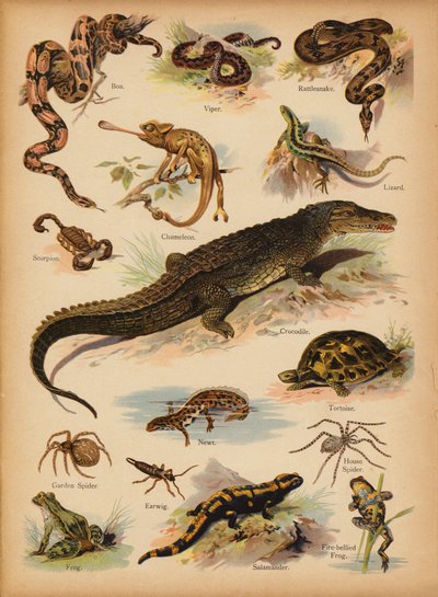 Page de L