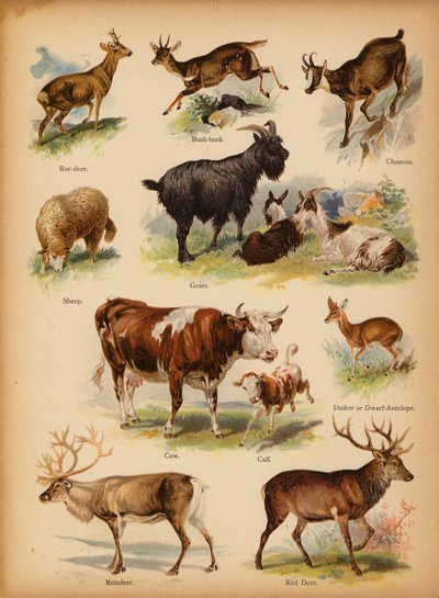 Page de L