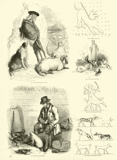 Page du Musée Pictural de la Nature Animée - English School