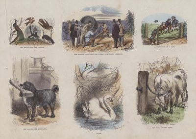 Page du Livre d