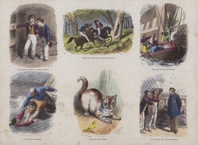 Page du Livre d