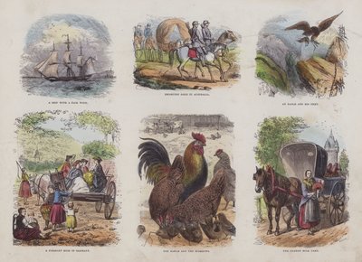 Page du Livre d