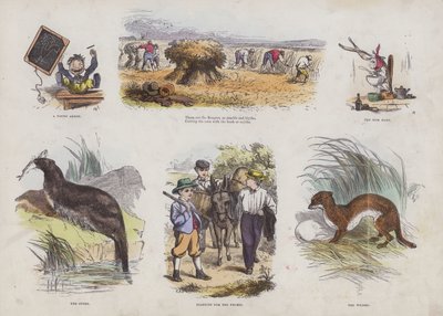 Page du Livre d