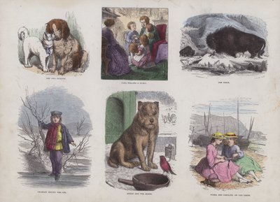 Page du Livre d