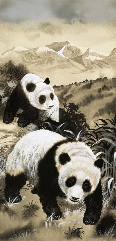 Pandas - English School