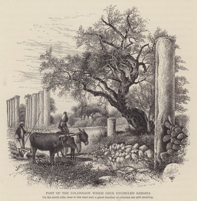 Partie de la colonnade qui entourait autrefois Samarie (gravure) - English School