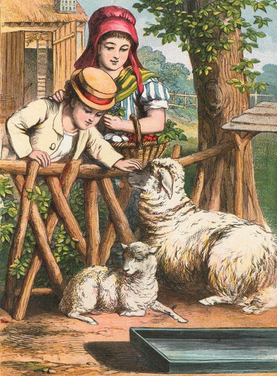 Caresser un mouton - English School
