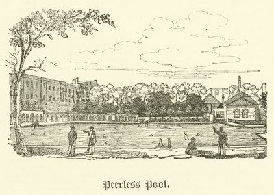 Piscine Peerless - English School