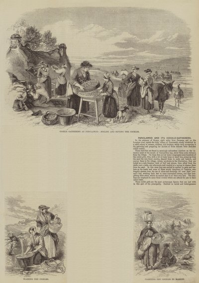 Penclawdd et ses ramasseurs de coques (gravure) - English School