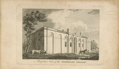 Vue en perspective du collège vétérinaire - English School
