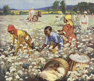 Récolte de coton dans une plantation américaine - English School