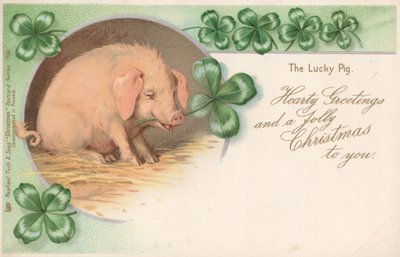 Cochon dans le trèfle - English School