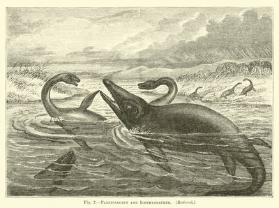 Plésiosaure et Ichthyosaure - English School