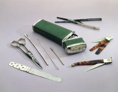 Étui de poche, contenant des instruments de chirurgien pour des opérations mineures (galuchat, argent, acier et écaille de tortue) - English School