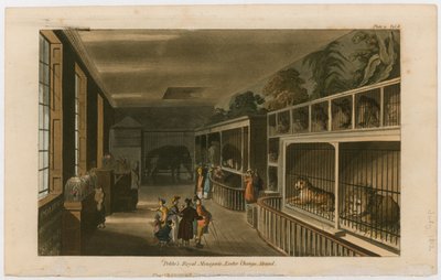 Ménagerie royale de Polito, Exeter Change, Strand - English School