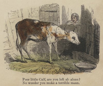 Pauvre petit veau, es-tu tout seul ? Pas étonnant que tu fasses un terrible gémissement - English School